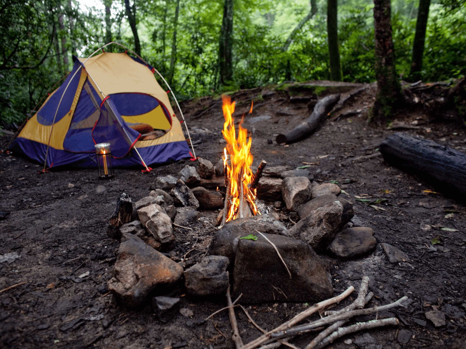 Camping